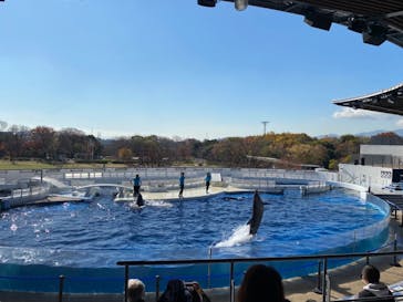 京都水族館に投稿された画像（2020/12/2）