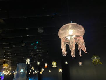 京都水族館に投稿された画像（2020/12/2）