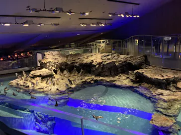 すみだ水族館に投稿された画像（2020/12/2）