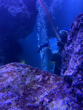 すみだ水族館に投稿された画像（2020/12/2）