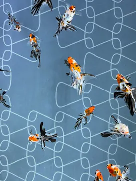 すみだ水族館に投稿された画像（2020/12/2）