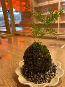 伊勢夫婦岩めおと横丁　めおと岩アクティビティに投稿された画像（2020/12/2）