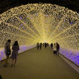 なばなの里に投稿された画像（2020/12/2）