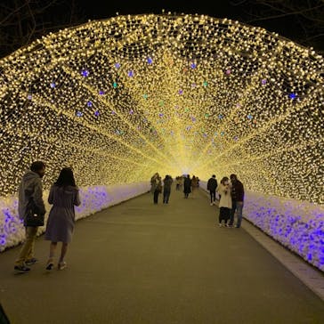 なばなの里に投稿された画像（2020/12/2）