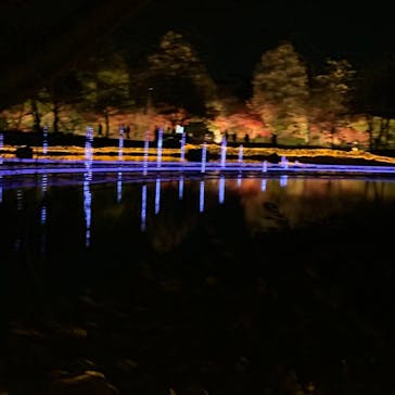 なばなの里に投稿された画像（2020/12/2）