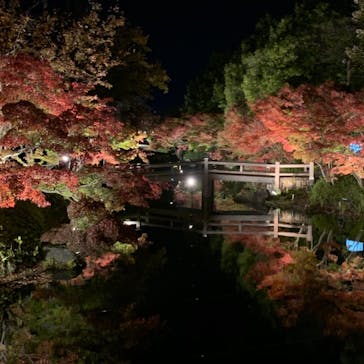 なばなの里に投稿された画像（2020/12/2）