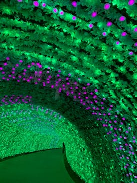 なばなの里に投稿された画像（2020/12/2）
