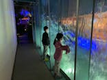 サンシャイン水族館に投稿された画像（2020/12/2）