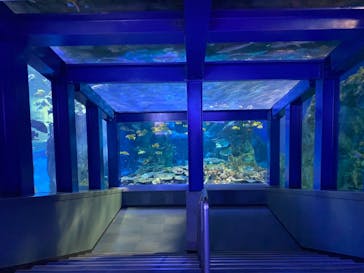 鳥羽水族館に投稿された画像（2020/12/2）