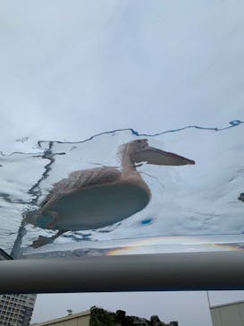 サンシャイン水族館に投稿された画像（2020/12/2）