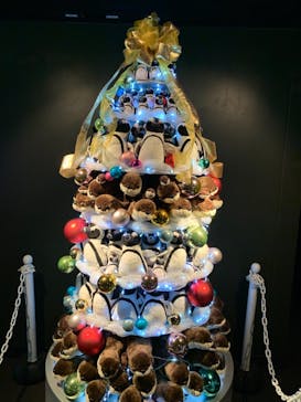 サンシャイン水族館に投稿された画像（2020/12/2）