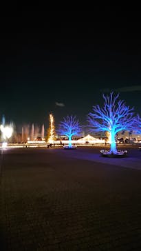 東京メガイルミに投稿された画像（2020/12/2）