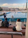 横浜・八景島シーパラダイスに投稿された画像（2020/12/3）
