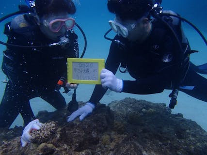 沖縄マリンクラブ結 投稿された写真一覧 アソビュー 沖縄マリンクラブ結 投稿された写真一覧 アソビュー