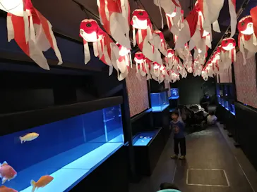 すみだ水族館に投稿された画像（2020/12/3）