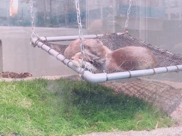 サンシャイン水族館に投稿された画像（2020/12/3）