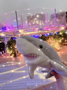 サンシャイン水族館に投稿された画像（2020/12/3）