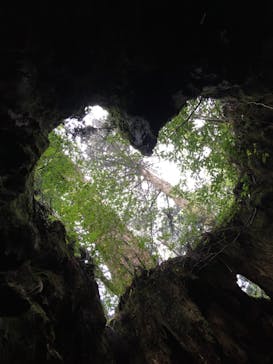 Yamakara屋久島に投稿された画像（2020/12/3）