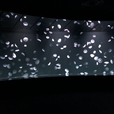 サンシャイン水族館に投稿された画像（2020/12/3）