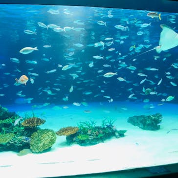 サンシャイン水族館に投稿された画像（2020/12/3）
