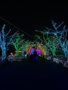 よみうりランド 遊園地に投稿された画像（2020/12/3）