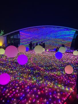 よみうりランド 遊園地に投稿された画像（2020/12/3）