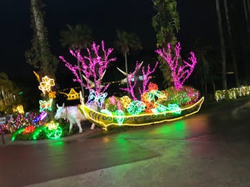 美らヤシパークオキナワ・東南植物楽園に投稿された画像（2020/12/3）