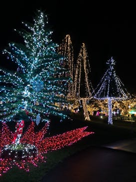 美らヤシパークオキナワ・東南植物楽園に投稿された画像（2020/12/3）