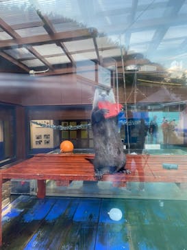 ゼロ距離水族館 伊勢シーパラダイスに投稿された画像（2020/12/3）