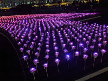 東京メガイルミに投稿された画像（2020/12/3）