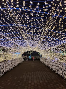 東京メガイルミに投稿された画像（2020/12/3）