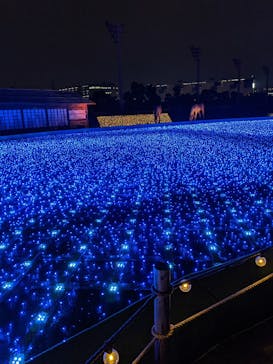 東京メガイルミに投稿された画像（2020/12/3）