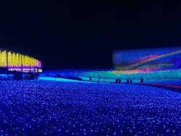 なばなの里に投稿された画像（2020/12/3）