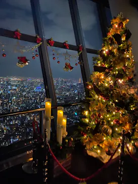 東京スカイツリーに投稿された画像（2020/12/4）