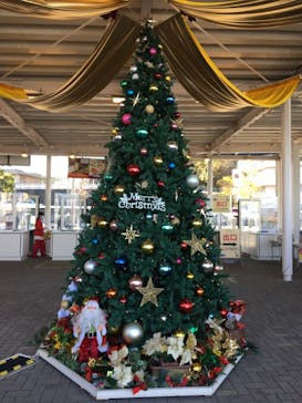 よみうりランド 遊園地に投稿された画像（2020/12/4）