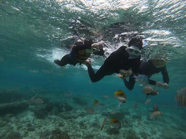 MalDive（モルダイブ）に投稿された画像（2020/12/4）