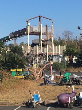 伊豆ぐらんぱる公園に投稿された画像（2020/12/4）