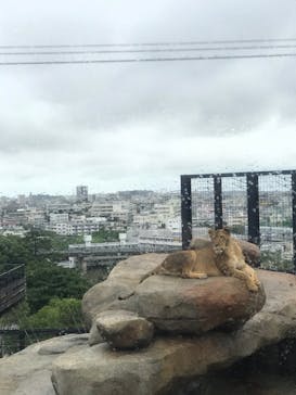 沖縄こどもの国に投稿された画像（2020/12/4）