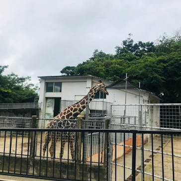 沖縄こどもの国に投稿された画像（2020/12/4）