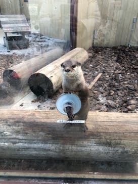 横浜・八景島シーパラダイスに投稿された画像（2020/12/4）