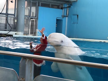 横浜・八景島シーパラダイスに投稿された画像（2020/12/4）