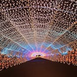 東京メガイルミに投稿された画像（2020/12/4）