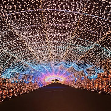 東京メガイルミに投稿された画像（2020/12/4）