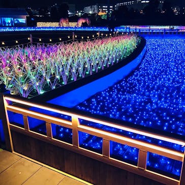 東京メガイルミに投稿された画像（2020/12/4）