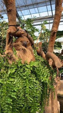 神戸どうぶつ王国に投稿された画像（2020/12/4）