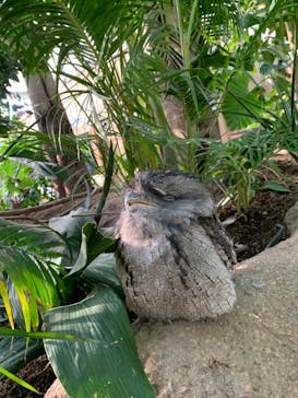 神戸どうぶつ王国に投稿された画像（2020/12/4）