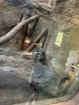 神戸どうぶつ王国に投稿された画像（2020/12/4）