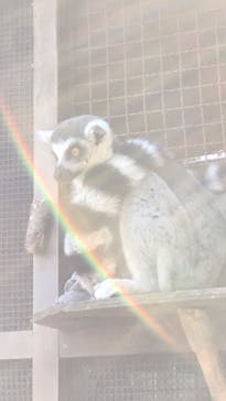 神戸どうぶつ王国に投稿された画像（2020/12/4）