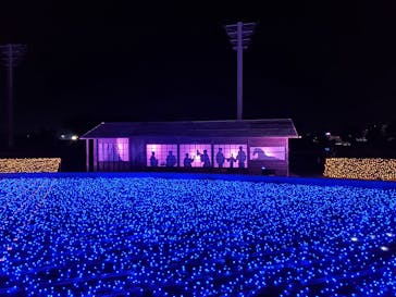 東京メガイルミに投稿された画像（2020/12/4）