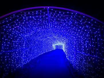 さがみ湖MORI MORIに投稿された画像（2020/12/4）